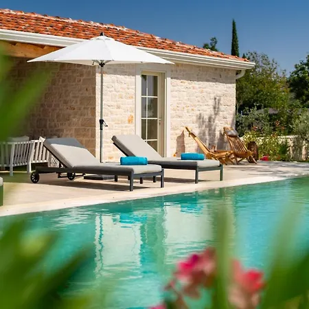 Villa Family With Pool In Visnjan Rapavel