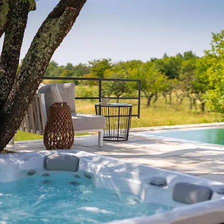 Villa Family With Pool In Visnjan